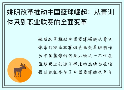 姚明改革推动中国篮球崛起：从青训体系到职业联赛的全面变革